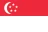 SG_SIN flag